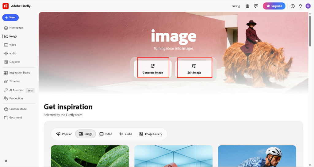 Adobe Firely for image generation and edition