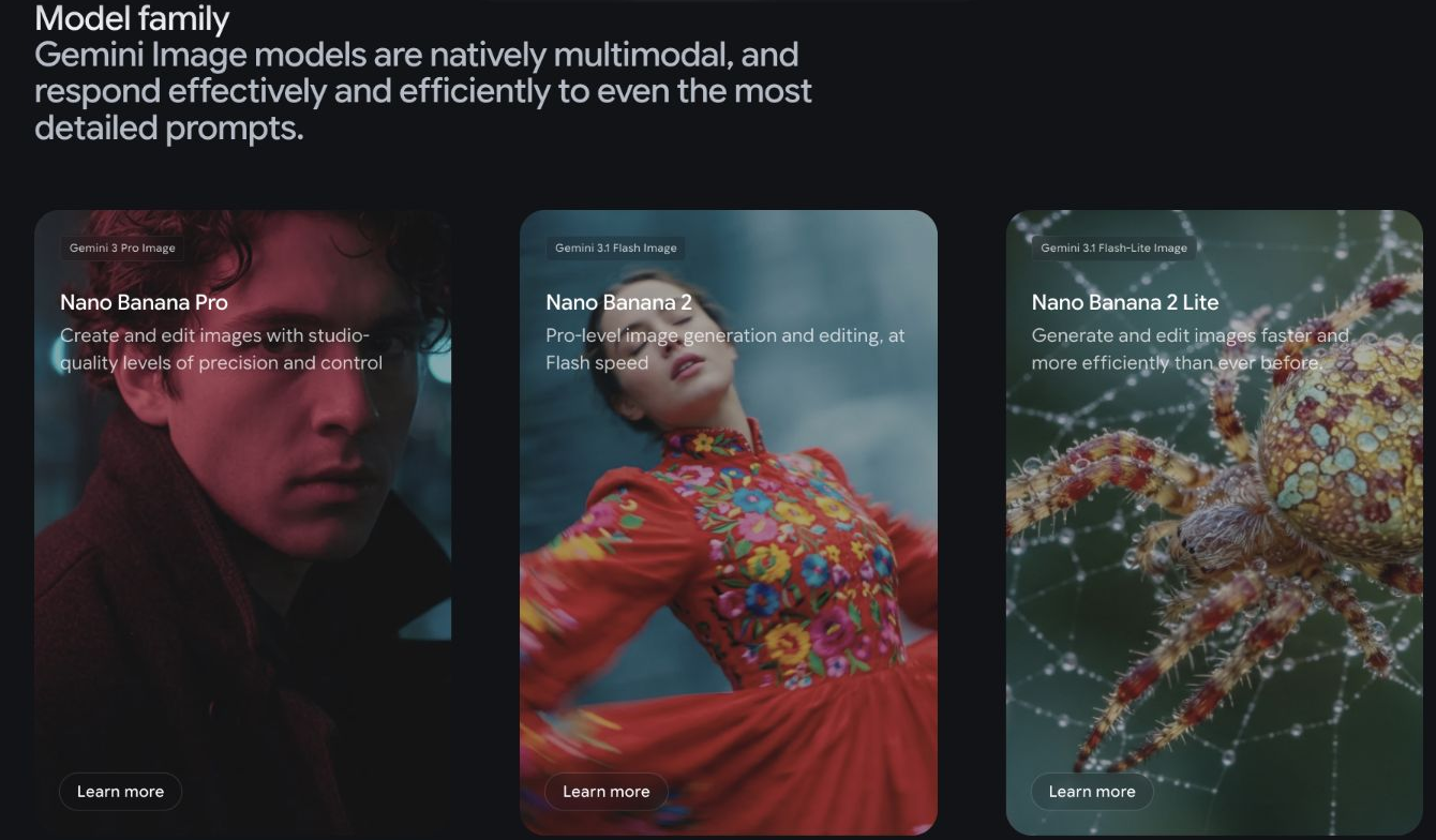 Google DeepMind current Nano Banana model family cards