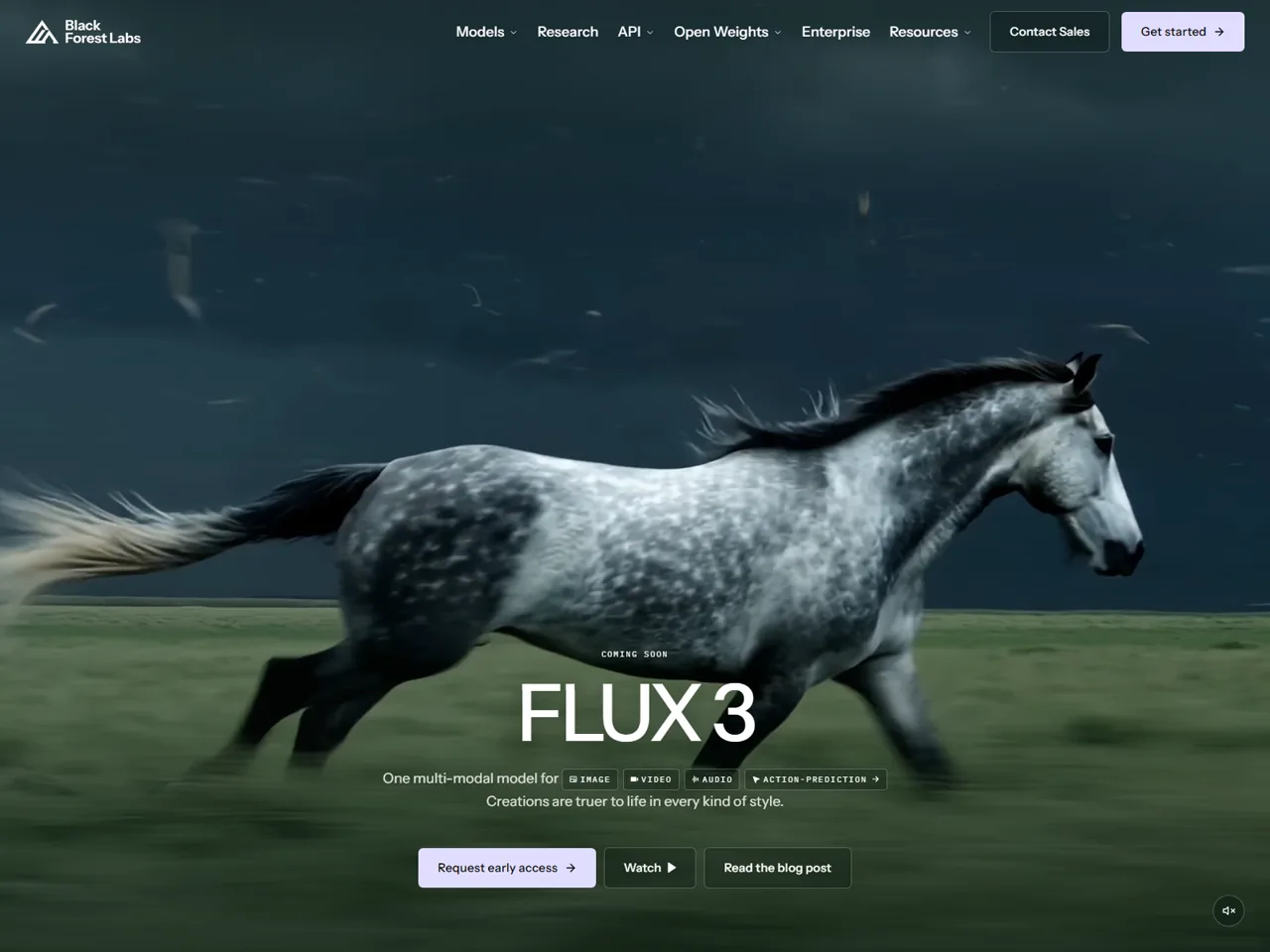 FLUX 3 official page showing image, video, audio, and action prediction