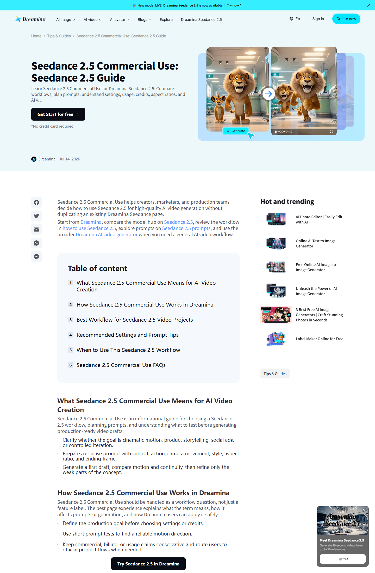 Dreamina Seedance 2.5 commercial-use page screenshot
