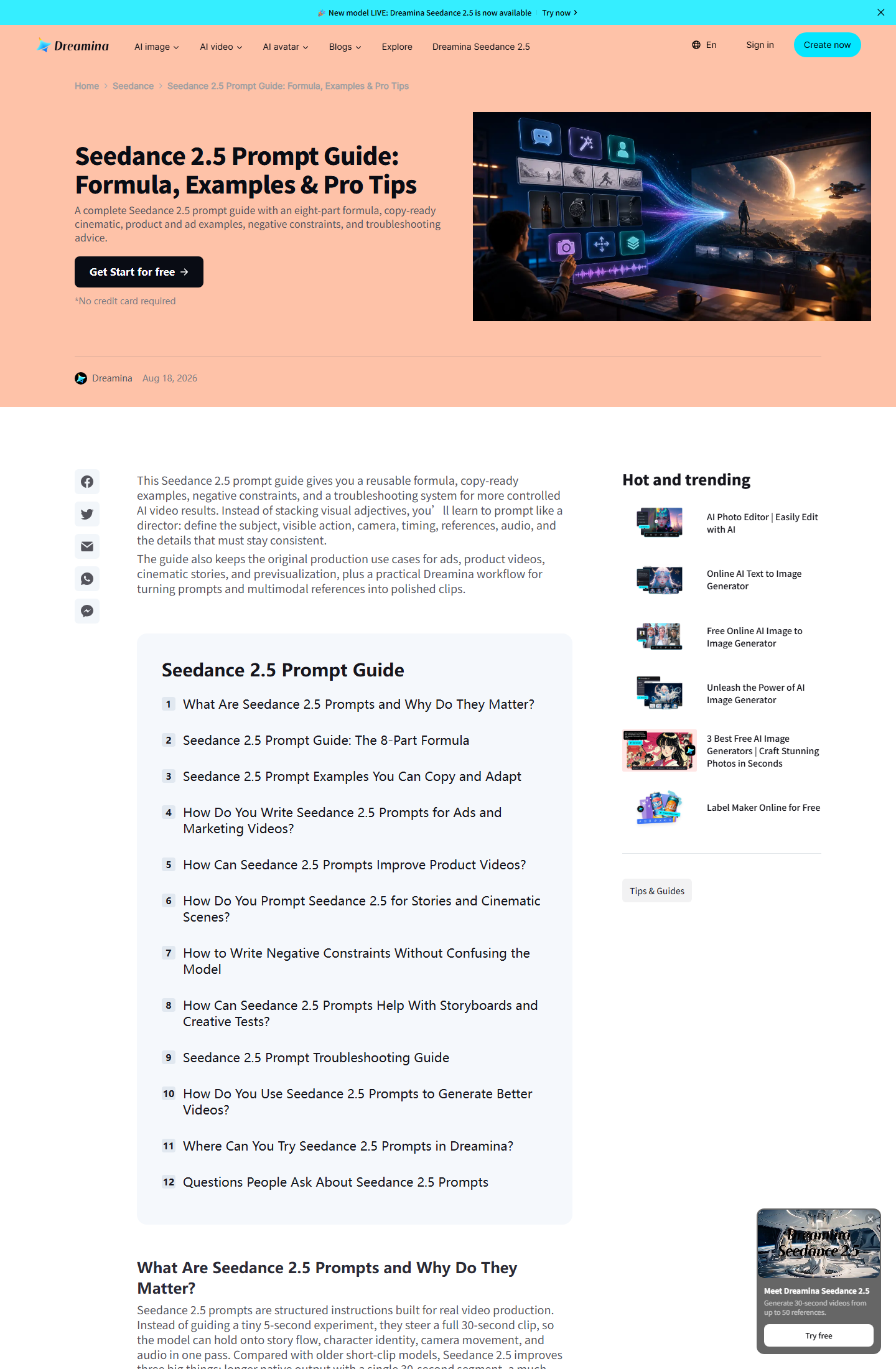 Dreamina Seedance 2.5 prompt guide screenshot
