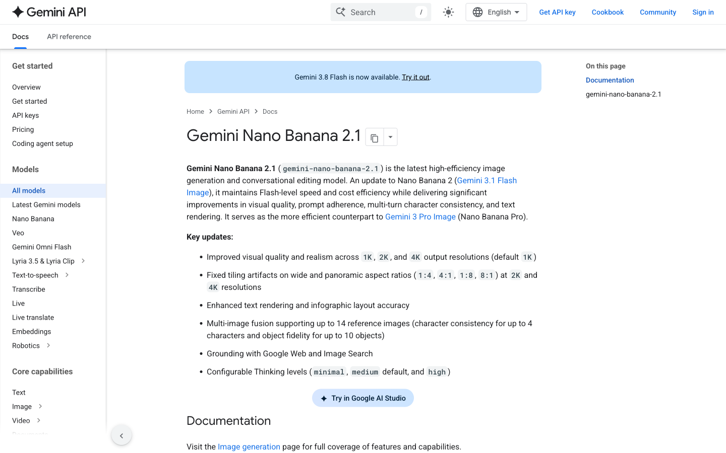 Google documentation lists Nano Banana 2.1 image generation, editing, resolution and reference-image capabilities.